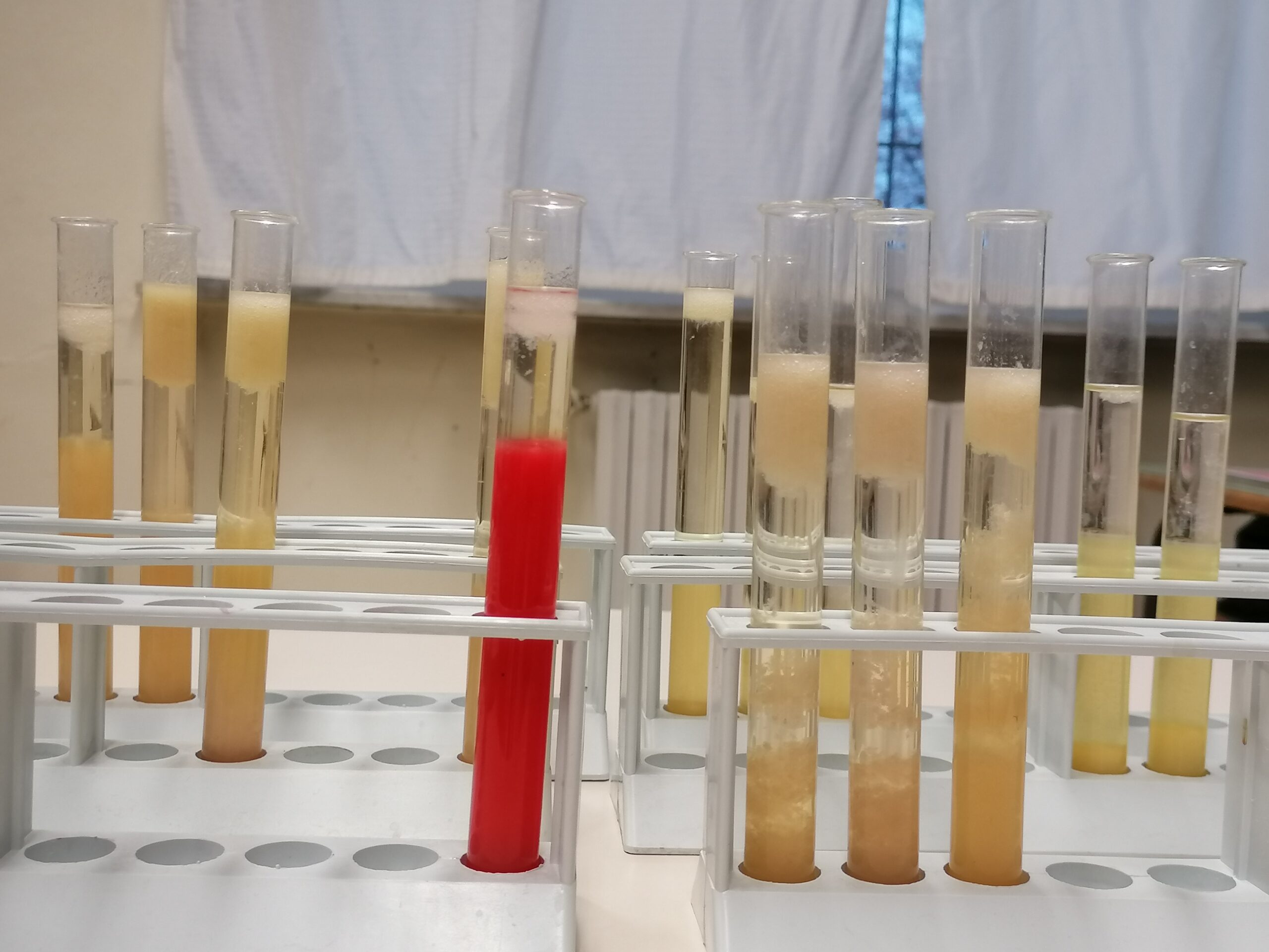 estrazione del dna
