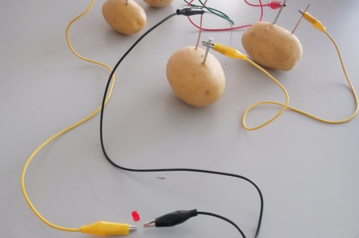 patate e led
